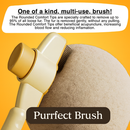 Purrfect Brush
