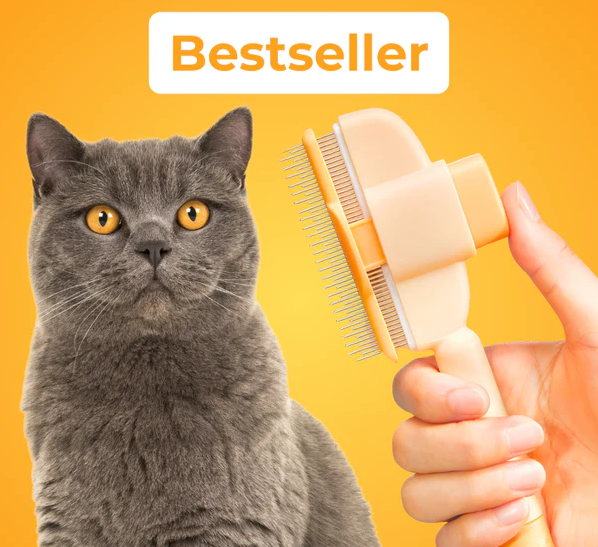 Purrfect Brush
